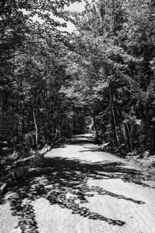 Nature's Shadows Black & White - NHP131b